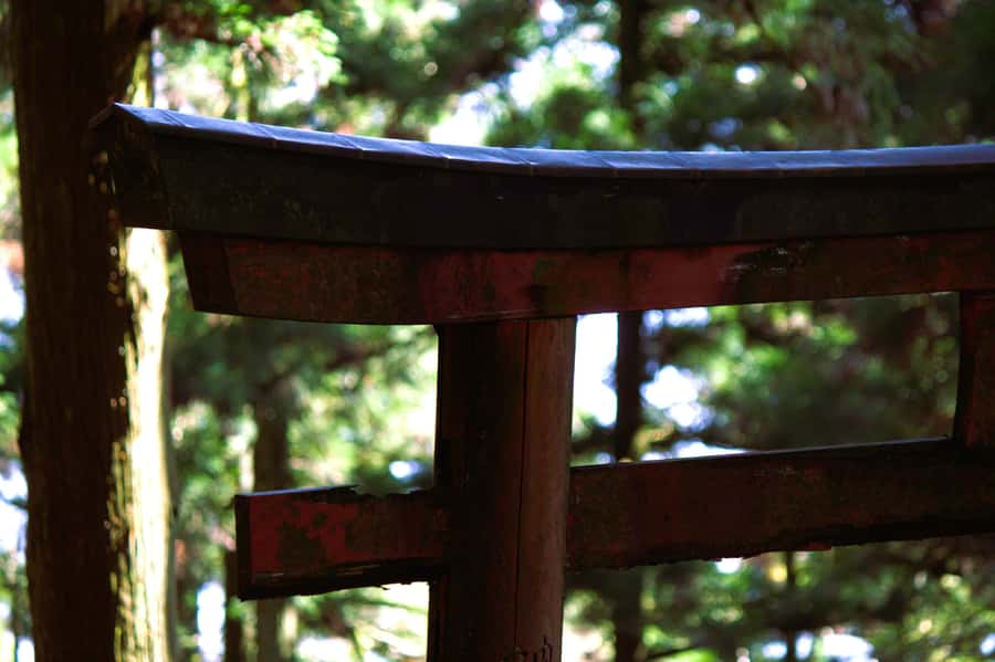 Kyoto: Guided Hike to Mt. Atago, Kyotos Highest Peak - An Authentic Day of Nature and Culture in Kyoto