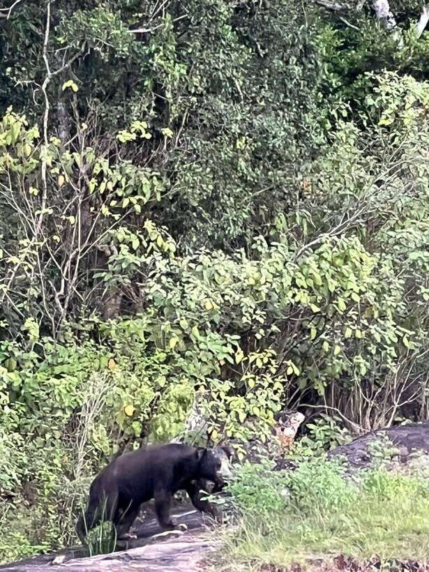 Yala National Park Half Day Safari - FAQ