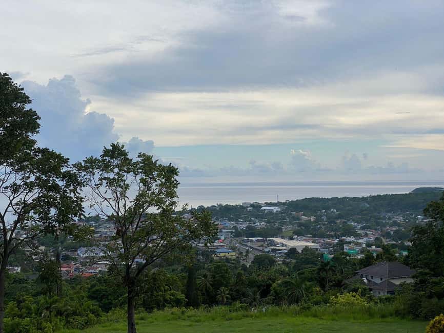 Ocho Rios: Countryside Sightseeing and taste of Jamaica - Who Should Consider This Tour?