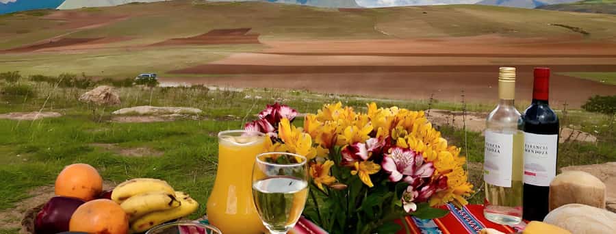 Picnic in Eucalyptus Forest + Archeology - Engaging Meta Description