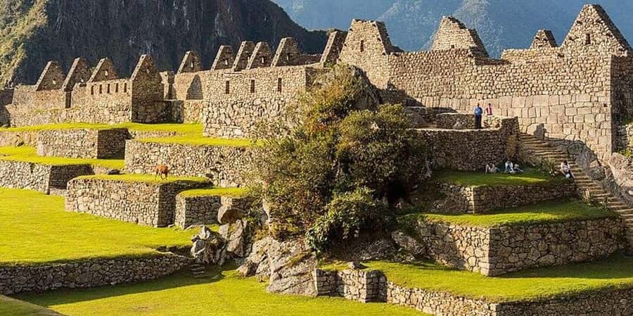 Machu Picchu: Local Guide in Machu Picchu Private and Group - A Closer Look at the Machu Picchu Guided Tour