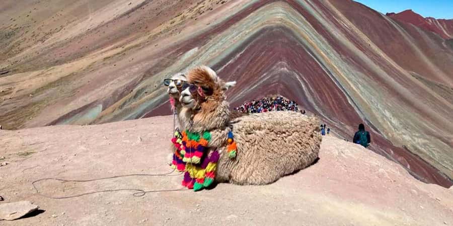 Cusco: Private ATV tour to the colorful mountain Vinicunca - Key Points