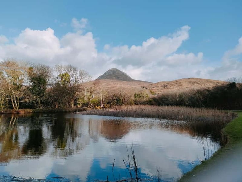 From Galway:Connemara, Kylemore Abbey & Castles Private Tour - Why This Tour Offers Great Value