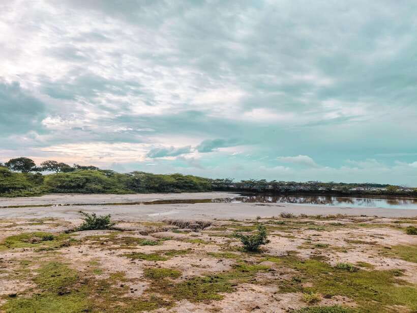 Bundala National Park Safari from Weligama - Who Is This Tour Best Suited For?