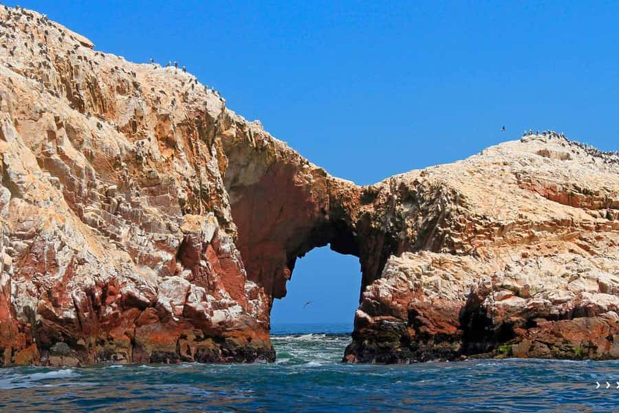 From Paraacas: Ballestas Islands + Paracas National Reserve - Who Should Consider This Tour?