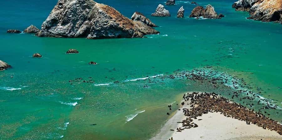 From Paraacas: Ballestas Islands + Paracas National Reserve - Key Points