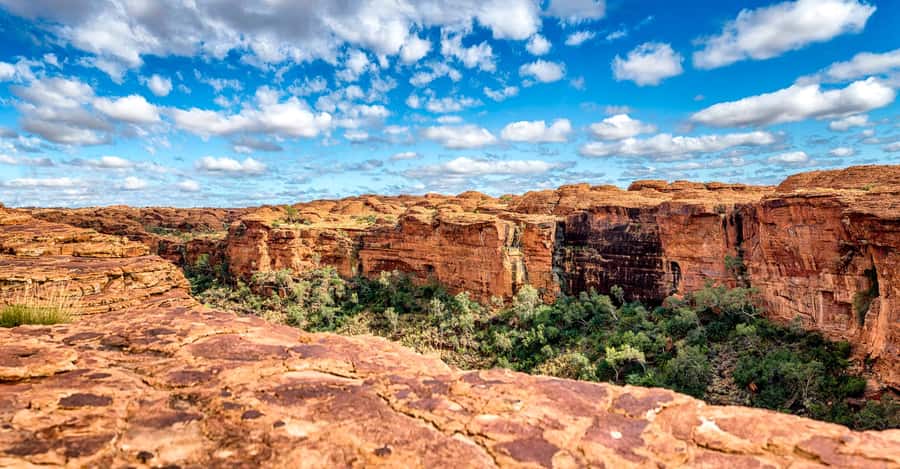 Ayers Rock: 3 Day 2 Night Kings Canyon Experience - Practical Details and Value