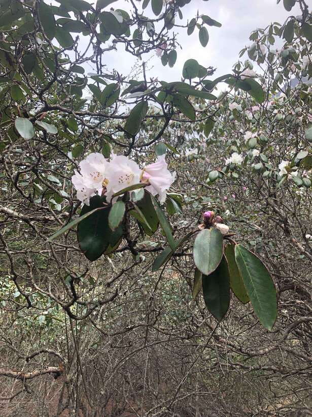 Everest base camp trek 12 days - What the Tour Includes and Excludes