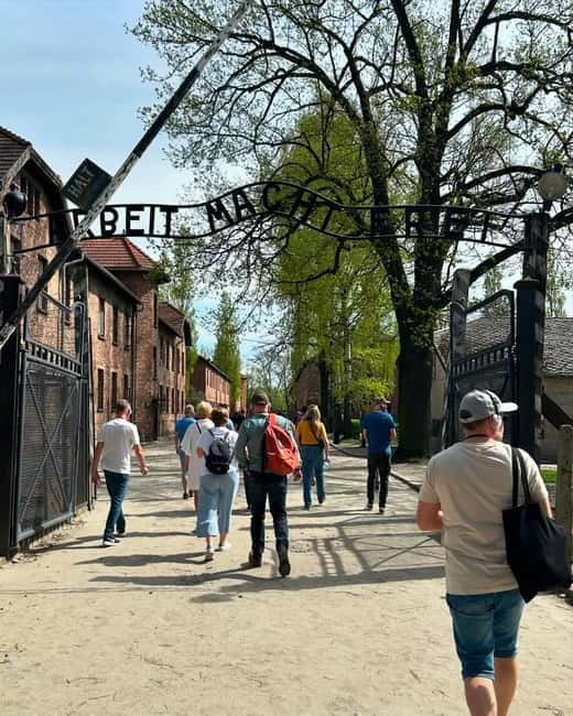 From Krakow: Auschwitz-Birkenau Guided Tour with Pickup - The Experience in Detail