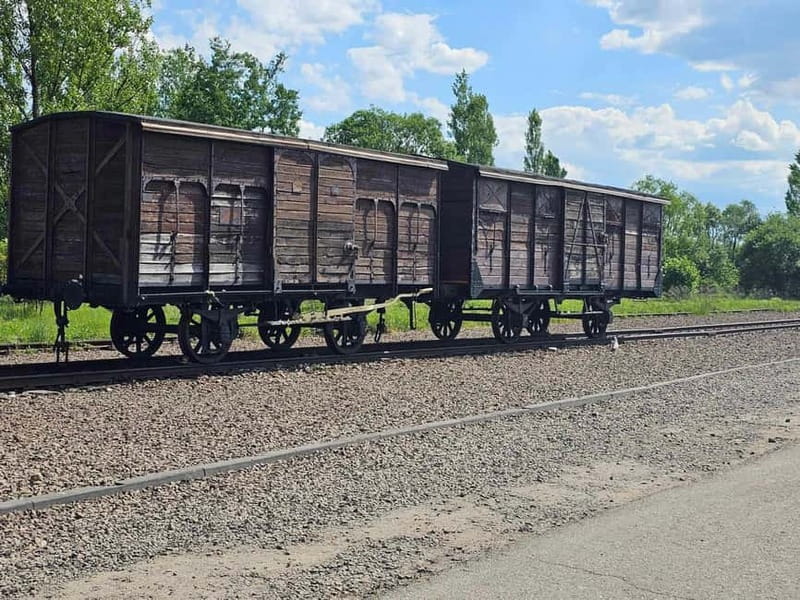 From Krakow: Auschwitz-Birkenau Guided Tour with Pickup - Who Should Consider This Tour?