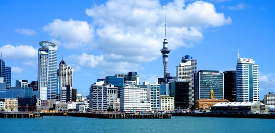 Auckland: City Highlights and Native Forest Experience - Who Is This Tour Best For?