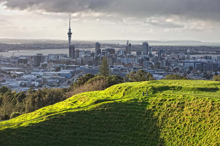 Auckland: City Highlights and Native Forest Experience - Wrapping Up