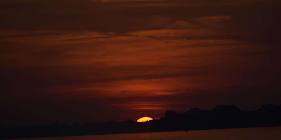 TAMBOPATA SUNSET TOUR 3D/2N - FAQs