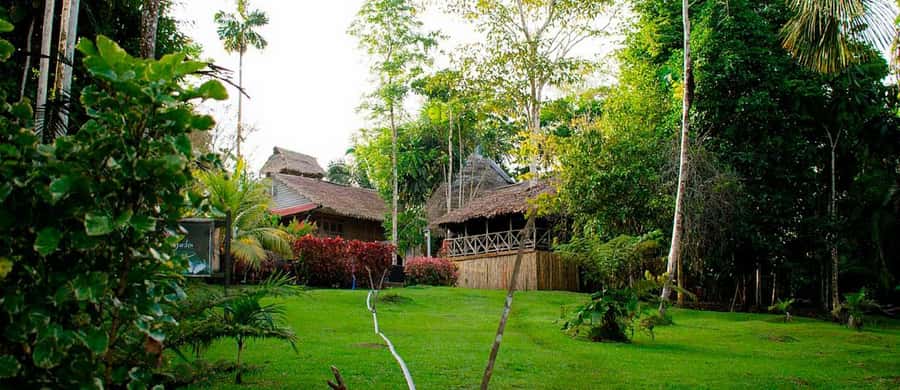 Natural program 3 days / 2 nights - A Close Look at the 3-Day Amazon Tour