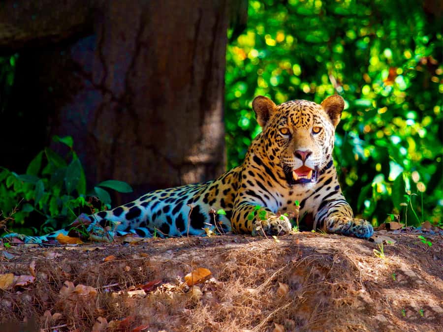 Natural program 3 days / 2 nights - FAQ