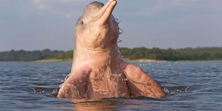 Natural program 3 days / 2 nights - Who Will Love This Tour?