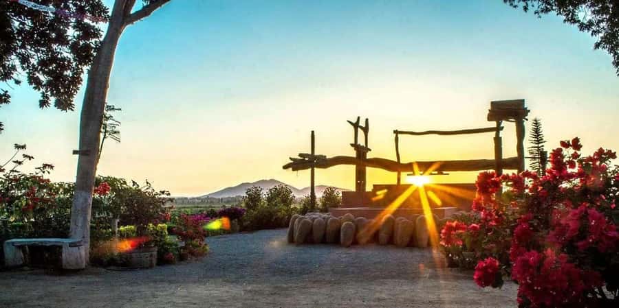 From Ica: Winery Tour - Along the Pisco Route - FAQ