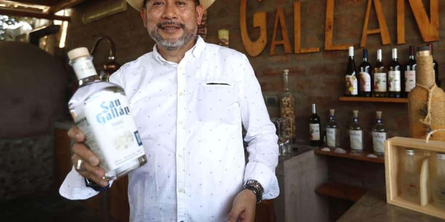 From Ica: Winery Tour - Along the Pisco Route - An In-Depth Look at the Winery Tour