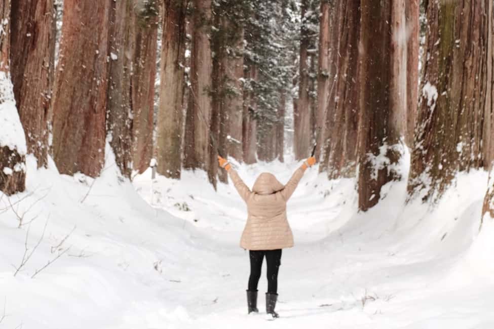 Nagano: Half-Day Private Tour Togakushi Shrine - Authentic Soba Experience