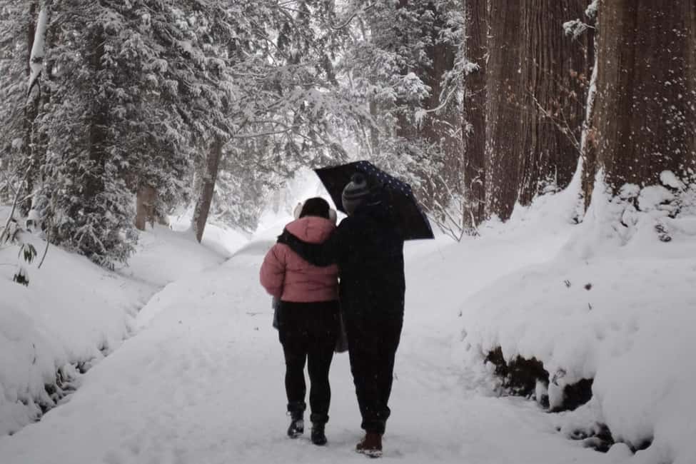 Nagano: Half-Day Private Tour Togakushi Shrine - The Sum Up