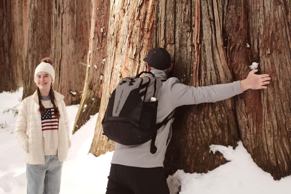 Nagano: Half-Day Private Tour Togakushi Shrine - Seamless Logistics and Personal Touches