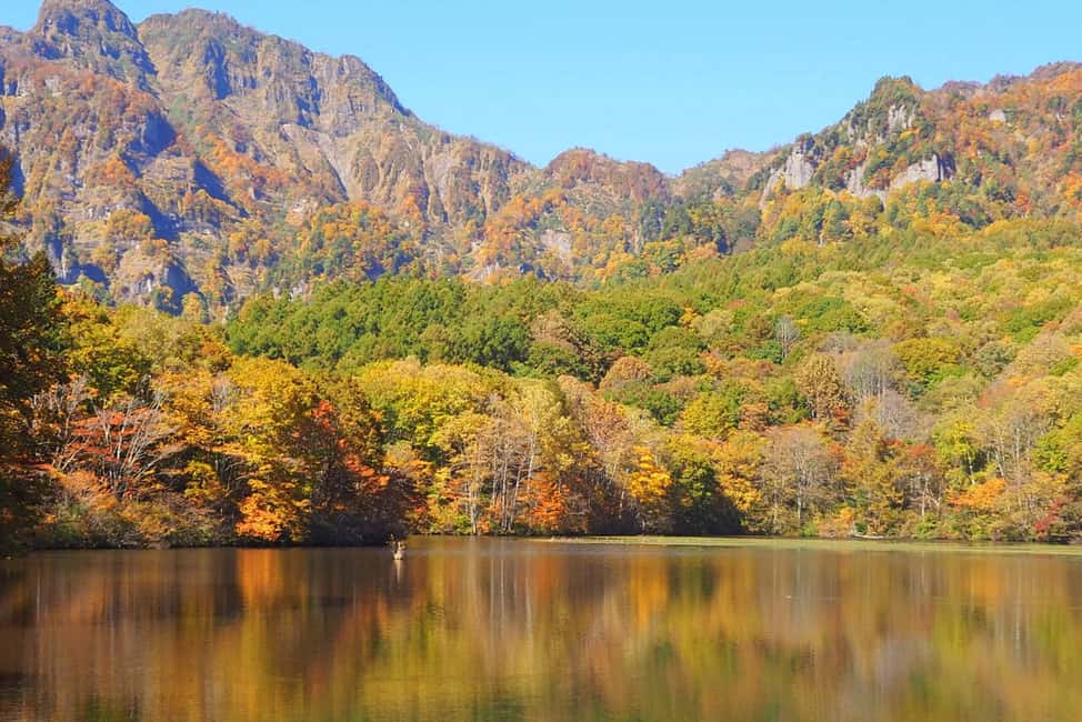 Nagano: Half-Day Private Tour Togakushi Shrine - Who Should Consider This Tour?