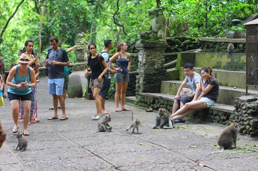Ubud: Monkey Forest, Rice Terraces, and Waterfall Tour - The Sum Up