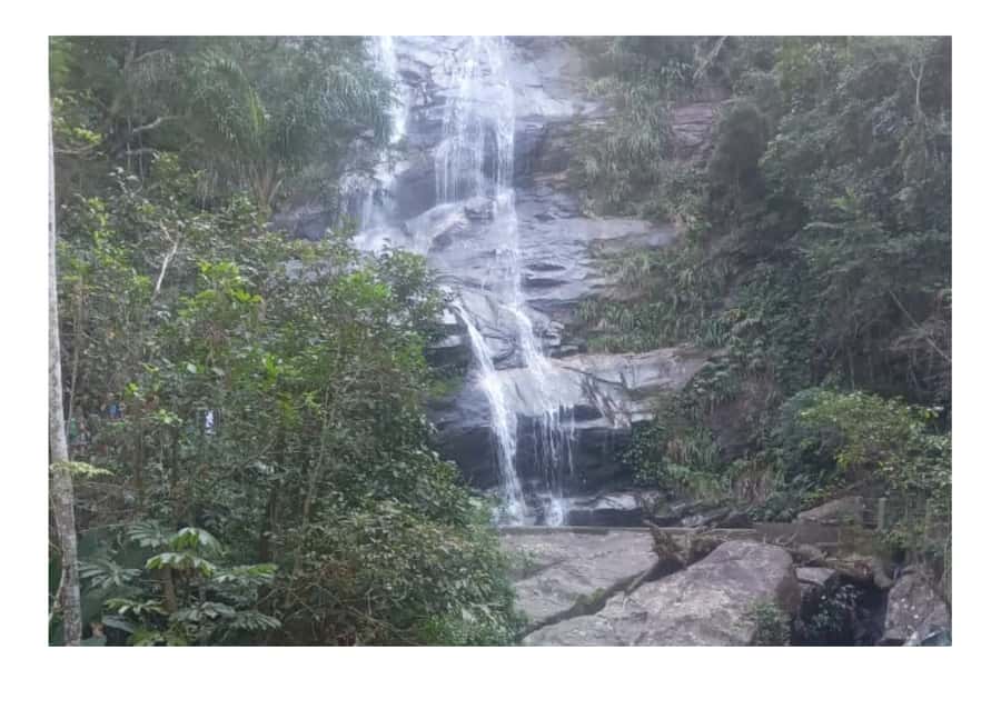 Floresta da Tijuca - Final Thoughts