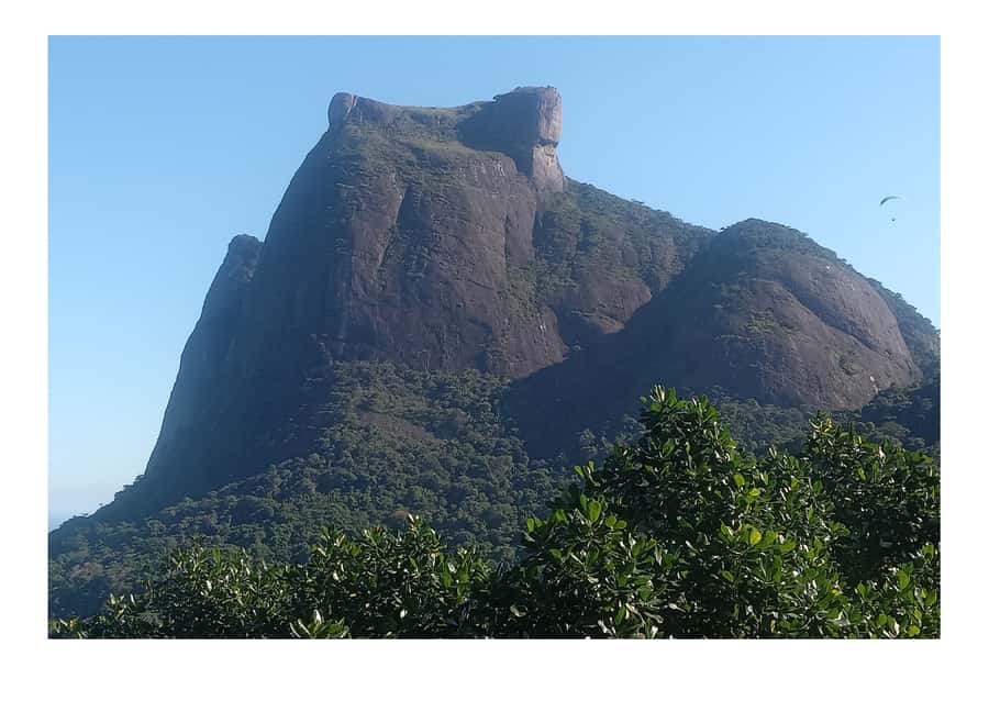 Floresta da Tijuca - FAQ