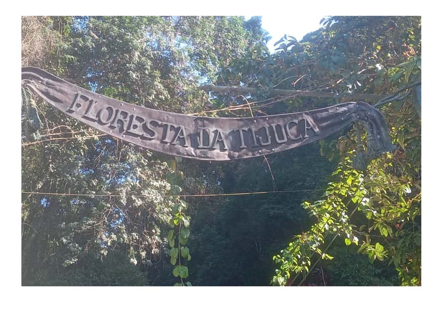 Floresta da Tijuca - In-Depth Review: What to Expect from the Floresta da Tijuca Tour