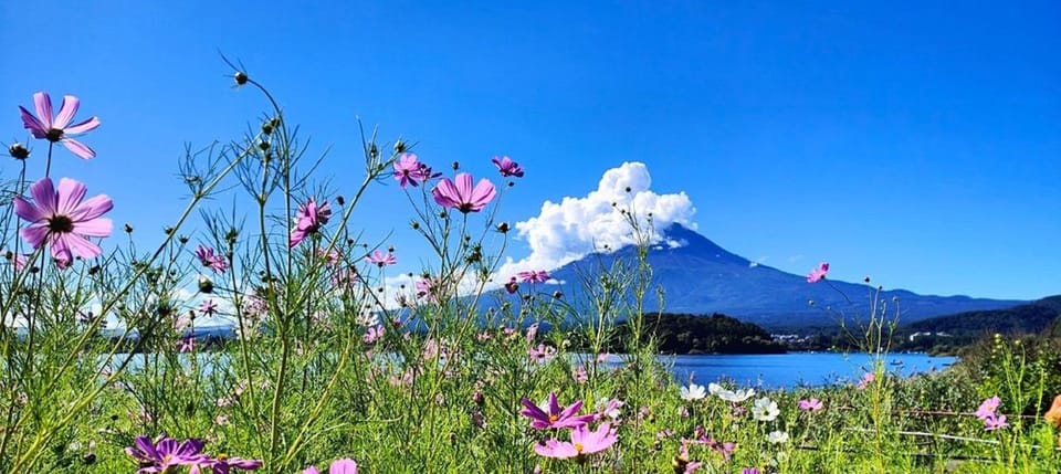 Mt. Fuji Private Tour With Hotel Pick Up From Tokyo - Discovering Mount Fuji: What to Expect