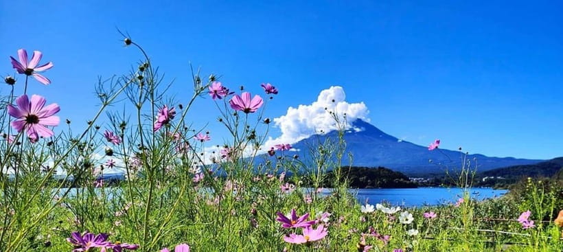 Mt. Fuji Private Tour With Hotel Pick Up From Tokyo - Authenticity and Traveler Insights