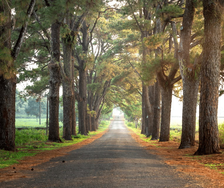 Pleiku: Culture, Landscape and Culinary Tour with Pickup - FAQ