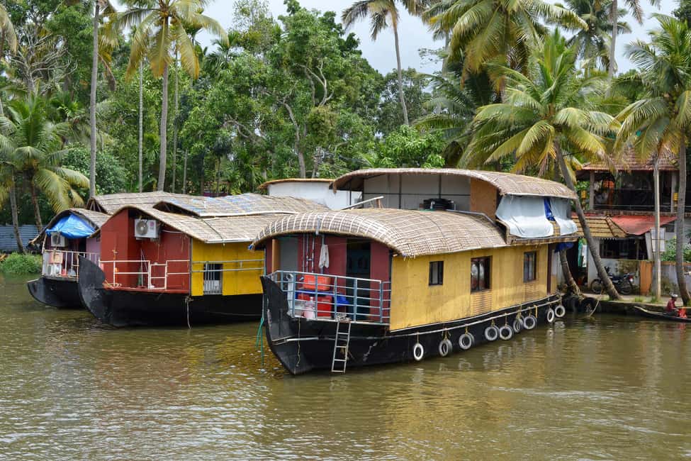 From Kochi: Alappuzha Backwaters Houseboat Cruise - Who Should Book This Tour?