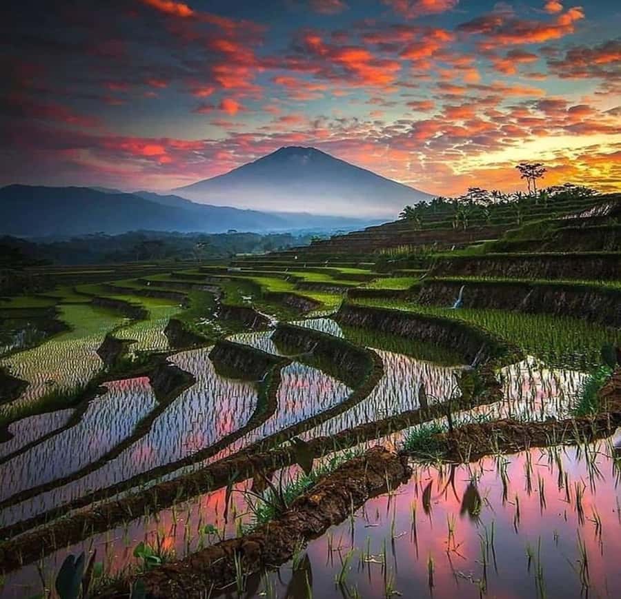 Bali: Trip to Tirta Gangga Palace and Tukad Cepung Waterfall - FAQs