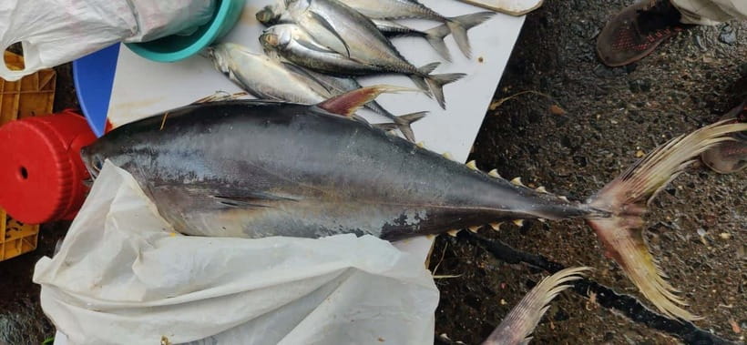 Mumbai Coastal Cooking: From Fishing Net to Flavourful Plate - FAQ