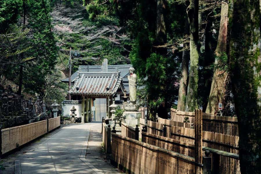 Tour to recreate the Ise pilgrimage of the Edo (1600s A.D.) - Exploring the Ise Pilgrimage of the Edo Period: A Detailed Review