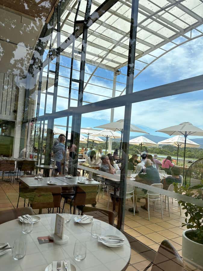 Yering Winery, LV Chandon Winery, Puffing Billy Steam Train - Good To Know