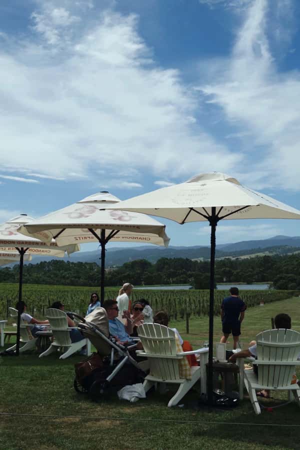 Yering Winery, LV Chandon Winery, Puffing Billy Steam Train - Why This Tour Is Worth Considering