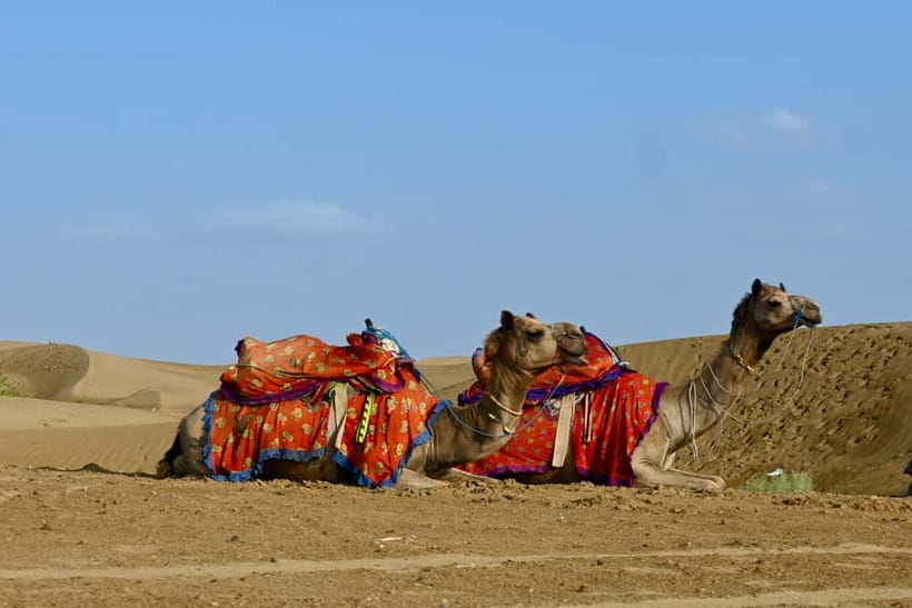 Jaisalmer: Sam Sand Dunes Sunset Tour with Camel Ride - Authenticity and Value
