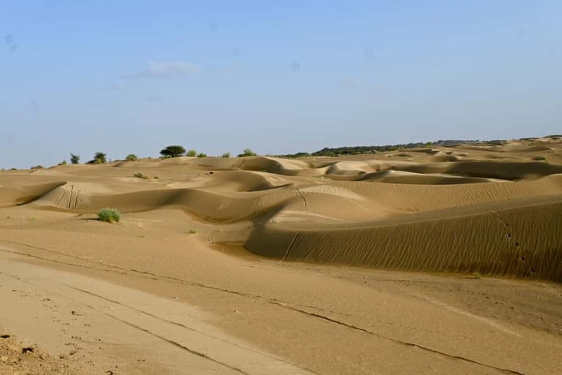 Jaisalmer: Sam Sand Dunes Sunset Tour with Camel Ride - What to Expect from the Tour