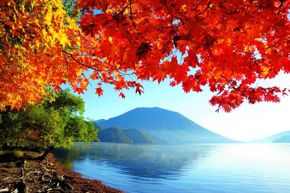 Private Day trip to Nikko with English speaking Guides - The Itinerary: An In-Depth Look