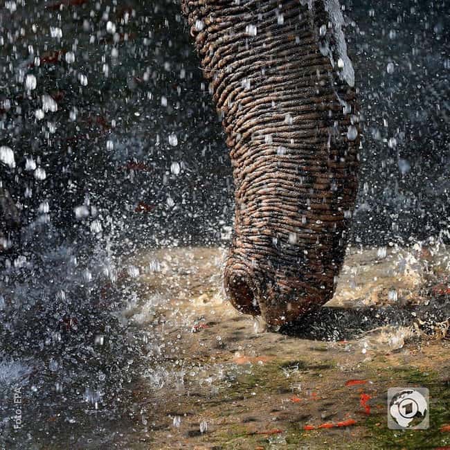 Explore Taj Mahal, SOS Sanctuary & Fatehpur Sikri: 2 Days - Key Points