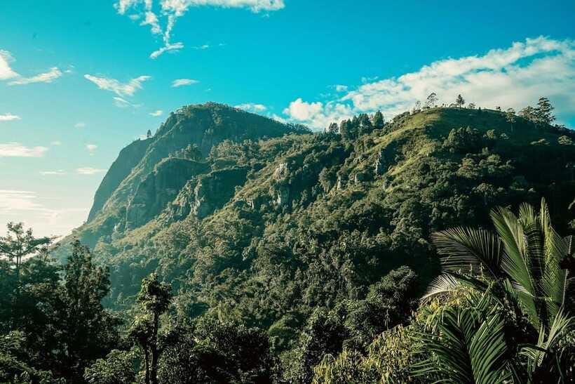 From Galle/Weligama/Mirissa: Day Trip to Ella Highlands - Frequently Asked Questions  