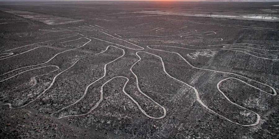 Maria Reiche Museum and viewpoint of the Nazca Lines - FAQs