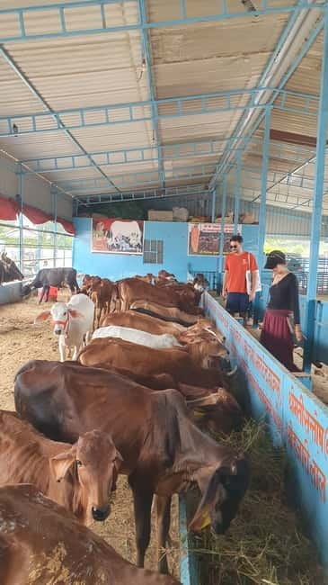 Motor bike ride to Baidhnath shiva temple and trekking - What’s Included and What’s Not