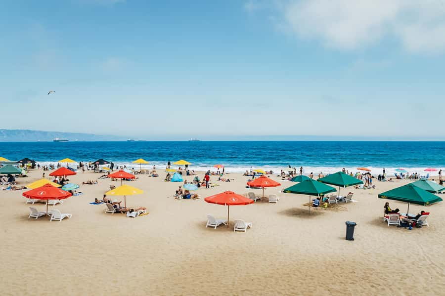 Santiago: Vina Del Mar, Valparaiso, Casablanca & Reñaca Tour - Discover Chile’s Coastal Charm with the Santiago: Vina del Mar, Valparaiso, Casablanca & Reñaca Tour