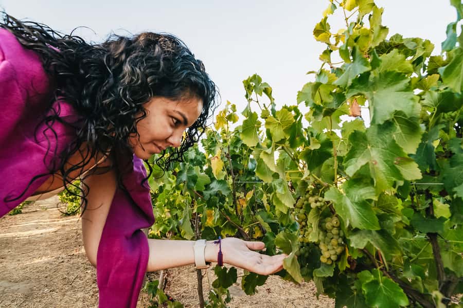 Santiago: Vina Del Mar, Valparaiso, Casablanca & Reñaca Tour - Who Is This Tour Best For?