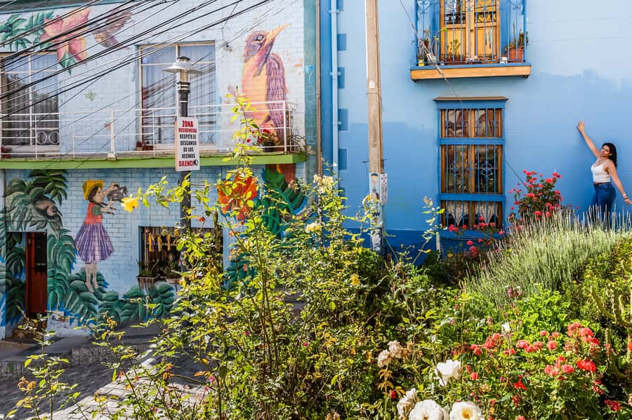 Santiago: Vina Del Mar, Valparaiso, Casablanca & Reñaca Tour - Authentic Experiences and Practical Tips