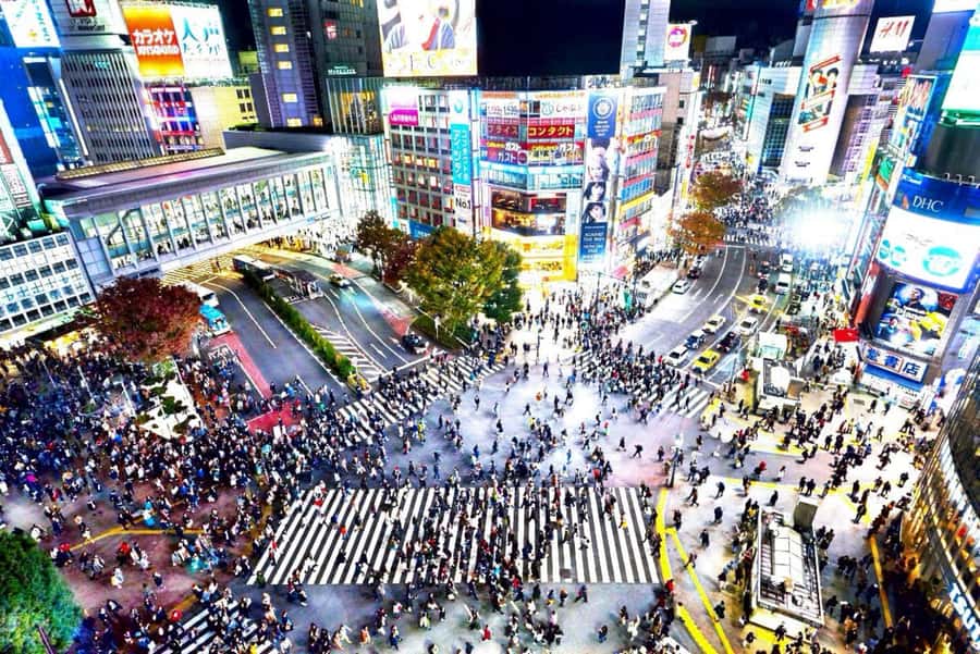 Tokyo Full-Day Private Customizable Tour with English guide - The Itinerary Breakdown